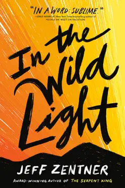 in the wild light book cover image