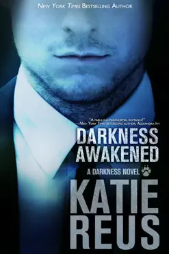 darkness awakened book cover image