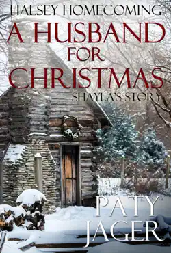 a husband for christmas book cover image