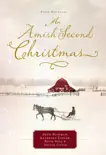 An Amish Second Christmas sinopsis y comentarios