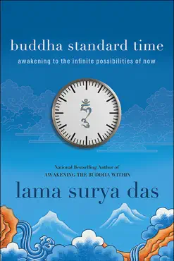 buddha standard time imagen de la portada del libro