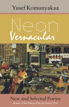 neon vernacular book cover image