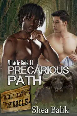 precarious path book cover image