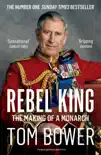 Rebel King sinopsis y comentarios