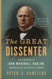 The Great Dissenter synopsis, comments