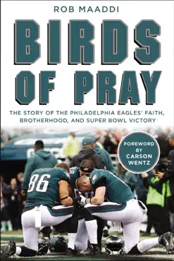 birds of pray book cover image