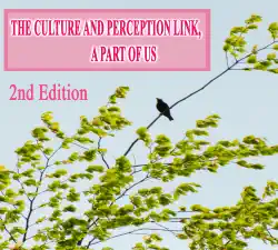 the culture and perception link book cover image