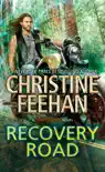 Recovery Road book summary, reviews and download