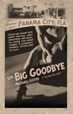 the big goodbye book cover image