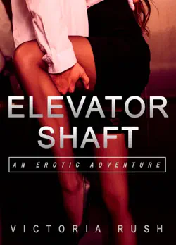elevator shaft: an erotic adventure (lesbian bisexual erotica) book cover image