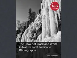 power of black and white in nature and landscape photography, the book cover image