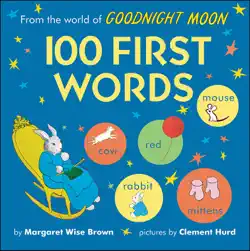 from the world of goodnight moon book cover image