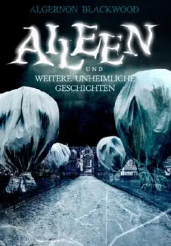 aileen book cover image