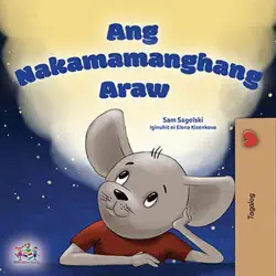 ang nakamamanghang araw book cover image
