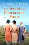The Secrets of Pencarrack Moor synopsis, comments