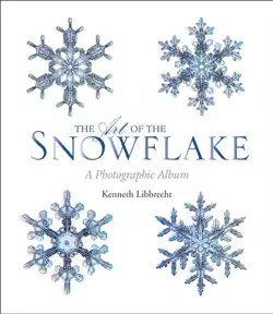 the art of the snowflake book cover image