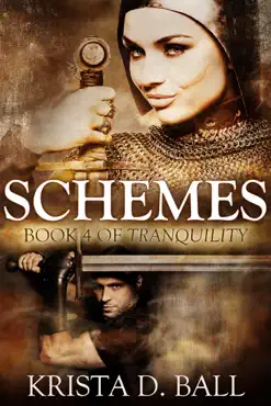 schemes book cover image