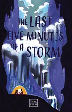 the last five minutes of a storm book cover image