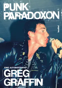 punk paradoxon book cover image