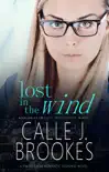 Lost in the Wind synopsis, comments
