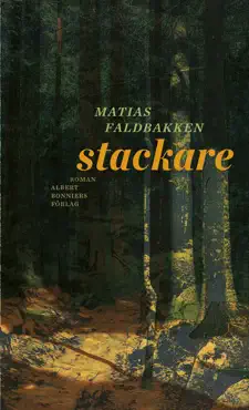 stackare book cover image