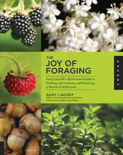 the joy of foraging book cover image
