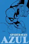 Spiderman: Azul sinopsis y comentarios