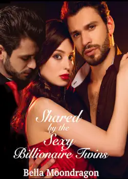 shared by the sexy billionaire twins book cover image