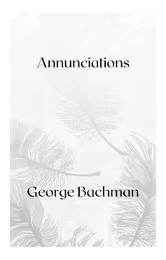 annunciations book cover image