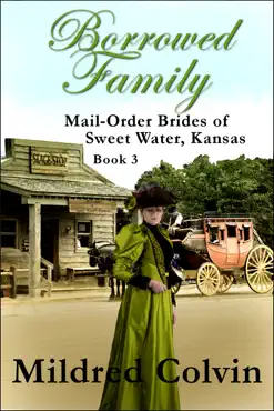 borrowed family book cover image