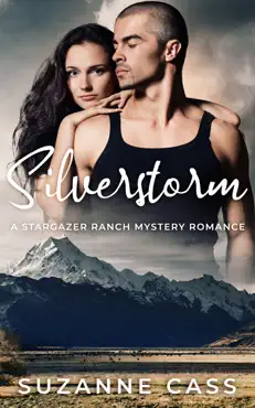 silverstorm book cover image