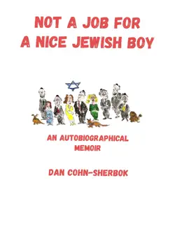 not a job for a nice jewish boy book cover image