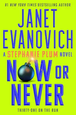 now or never book cover image