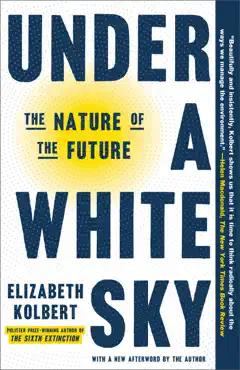 under a white sky book cover image