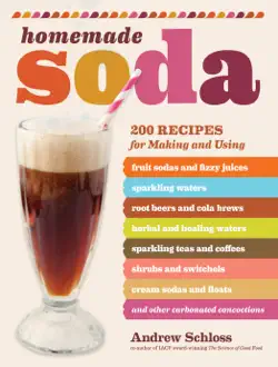 homemade soda book cover image