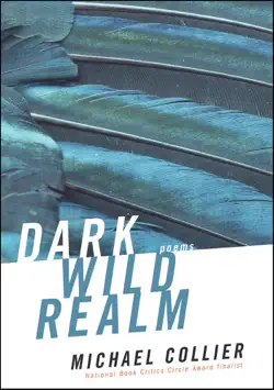 dark wild realm book cover image