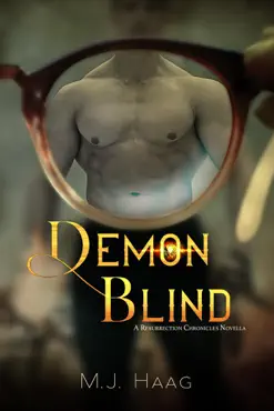 demon blind book cover image