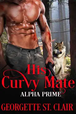 his curvy mate book cover image