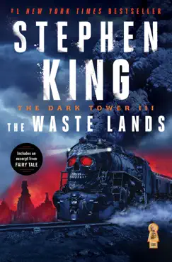 the dark tower iii book cover image