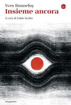 insieme ancora book cover image