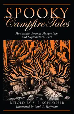 spooky campfire tales book cover image