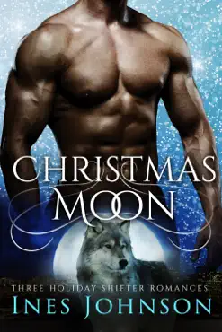 christmas moon book cover image