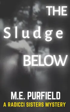 the sludge below book cover image