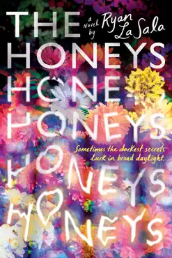 the honeys book cover image