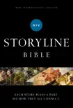 NIV, Storyline Bible synopsis, comments