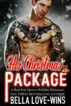 His Christmas Package synopsis, comments