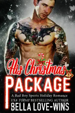 his christmas package imagen de la portada del libro