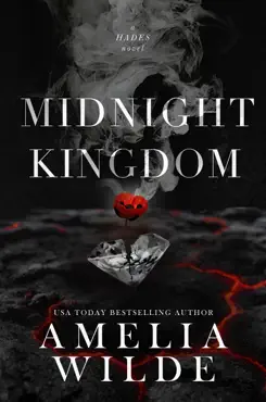 midnight kingdom book cover image