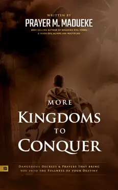 more kingdoms to conquer book cover image