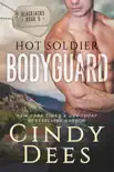 Hot Soldier Bodyguard synopsis, comments